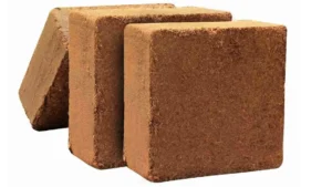 cropped 5kg cocopeat block for commercial purpose 1000x1000